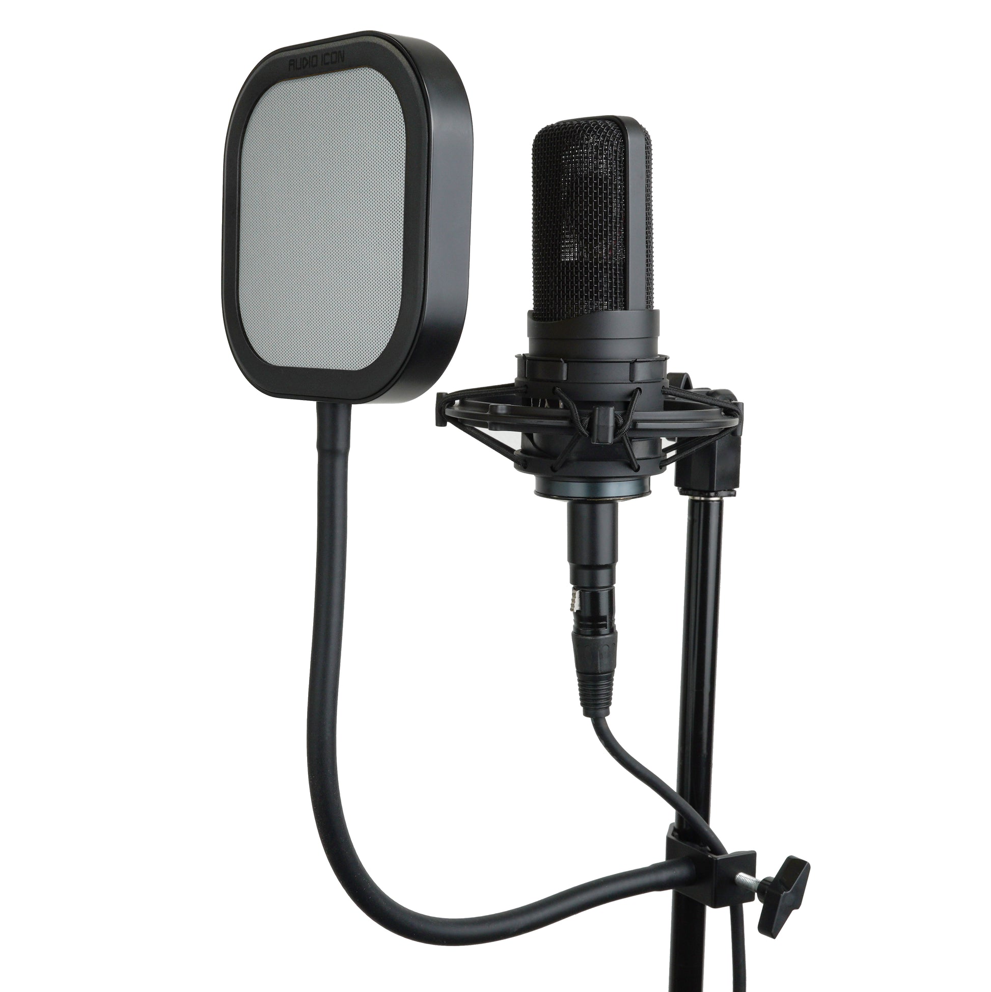 Studio microphone with Metal pop filter on a white background