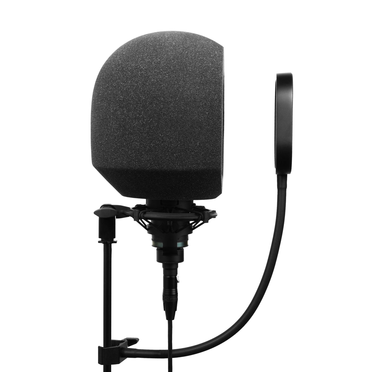 Side profile of SoundBox with a microphone and Flex Pro