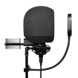 C80 + Flex Pro recording bundle, view 5
