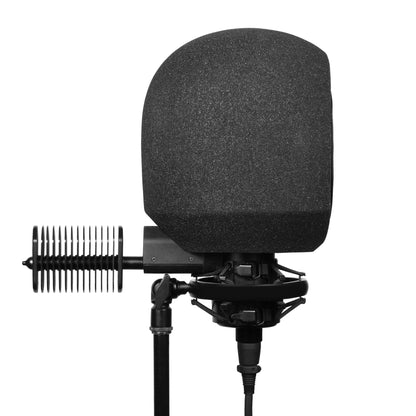 Side Profile View of SoundBox C80 Iso Booth on C800 Microphone with Purple Mesh Pop Filter